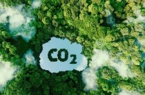 Năm 2025: Thí điểm sàn giao dịch tín chỉ carbon