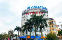 Viglacera ước lợi nhuận 7 tháng đạt hơn 1.800 tỷ đồng, vượt 11% kế hoạch cả năm