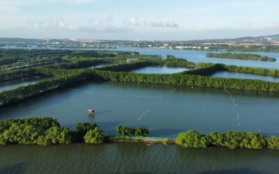 Bình Định: Đề xuất chấm dứt dự án khu vui chơi Đầm Thị Nại gần 800 tỷ