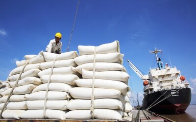 VCCI lo ngại các biện pháp quản lý nhập khẩu gạo, sẽ ảnh hưởng đến lợi ích của doanh nghiệp sử dụng gạo làm nguyên liệu để sản xuất.