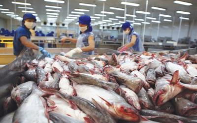 Chi phí sản xuất tăng cao đáng quan ngại, khiến giá thành sản phẩm tăng, giảm khả năng cạnh tranh sản phẩm thủy sản Việt Nam.