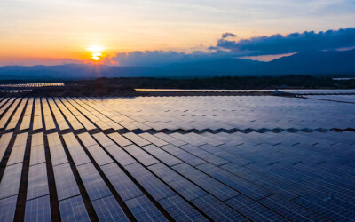 Những tấm pin mặt trời tại dự án nhà máy điện mặt trời Trung Nam - Thuận Nam. (Ảnh: Trung Nam Group).