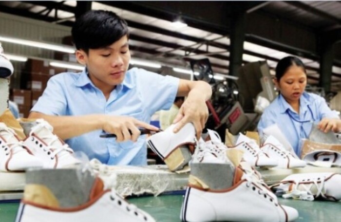 Doanh nghiệp FDI chiếm ưu thế trong xuất khẩu da giày