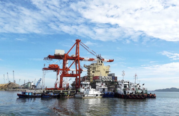 Hậu thương vụ Cảng Quy Nhơn: Giao Vinalines đàm phán mua lại 75,01% vốn nhà nước