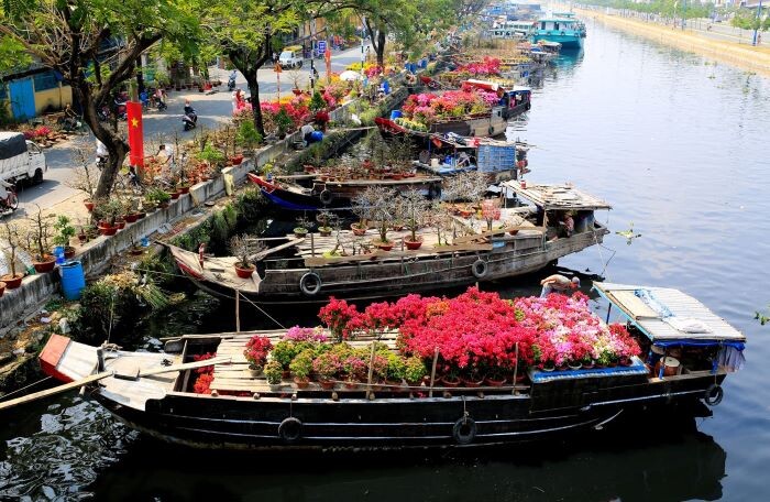 TP. HCM dự kiến tổ chức 179 chợ hoa để tiêu thụ hoa, cây cảnh dịp Tết Nguyên đán