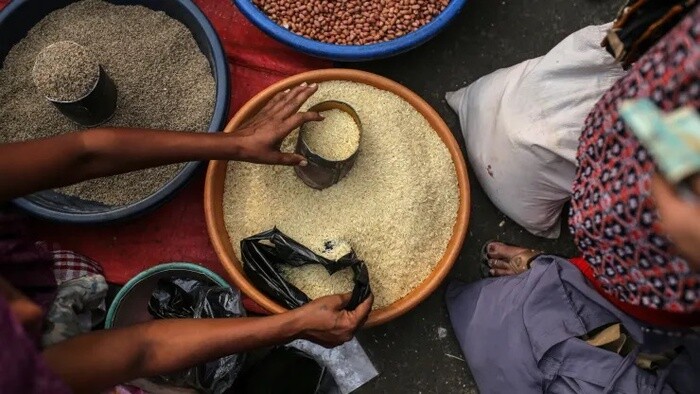 Giá gạo cao kỷ lục: Ấn Độ lệnh cấm xuất khẩu, Việt Nam hưởng lợi lớn