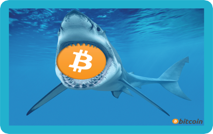 Giá bitcoin hôm nay (13/3): 'Trùm tin tức' dùng chính cảm xúc của mọi người để giúp ‘cá mập’ giao dịch