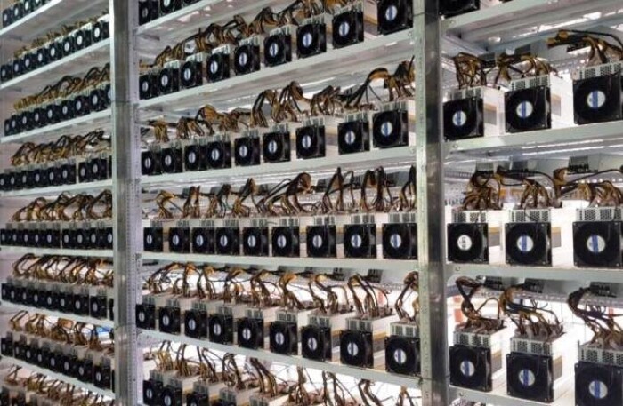 Người Việt mua gần 8.000 'trâu cày' Bitcoin chỉ trong 3 tuần