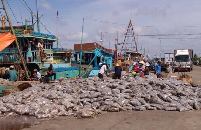 Kỷ luật cảnh cáo đối với Giám đốc Ban quản lý Cảng cá Bạc Liêu