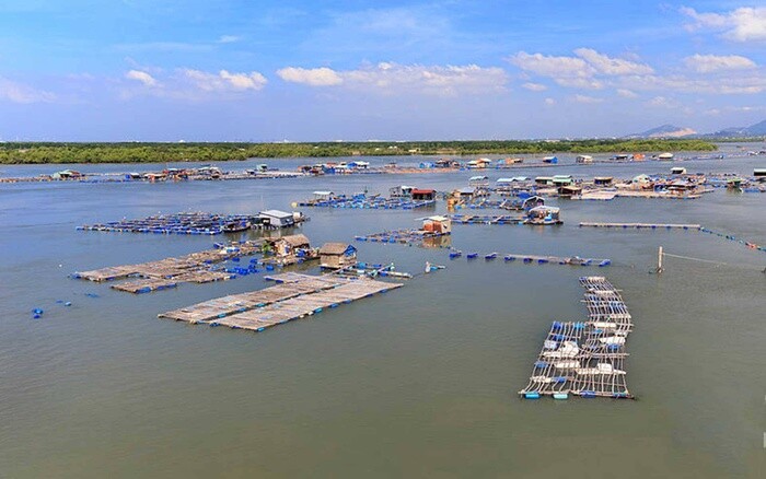 Bà Rịa - Vũng Tàu quy hoạch đảo Long Sơn thành trung tâm công nghiệp dầu khí quốc gia
