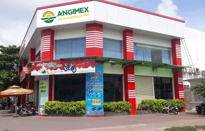 Một nhà đầu tư cá nhân trở thành cổ đông lớn của Angimex (AGM)
