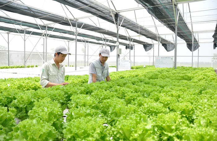 Hà Nội sẽ phát triển nông nghiệp công nghệ cao gắn với công nghiệp chế biến
