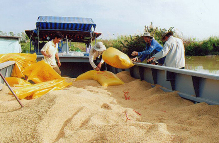 Xuất khẩu gạo: Trung Quốc tụt giảm khó lường, top 3 thế giới, Việt Nam vẫn lao đao