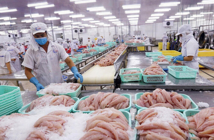 Cảng Trung Quốc tạm dừng nhập khẩu thực phẩm đông lạnh từ Việt Nam