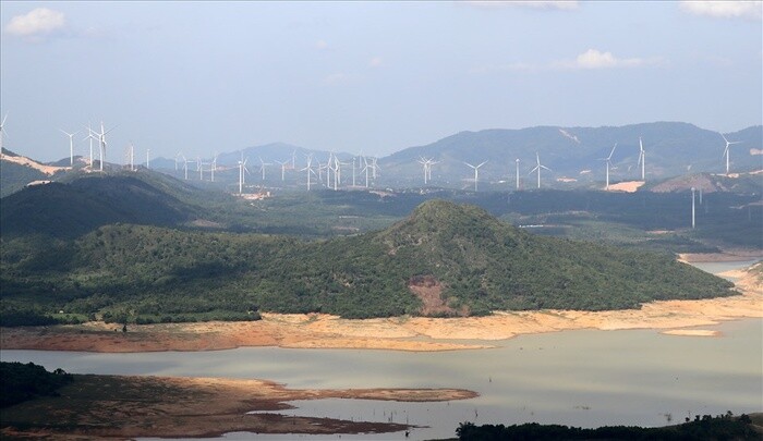 Quảng Trị chuyển đổi hơn 20ha rừng để làm nhà máy điện gió Tân Hợp gần 1.700 tỷ đồng