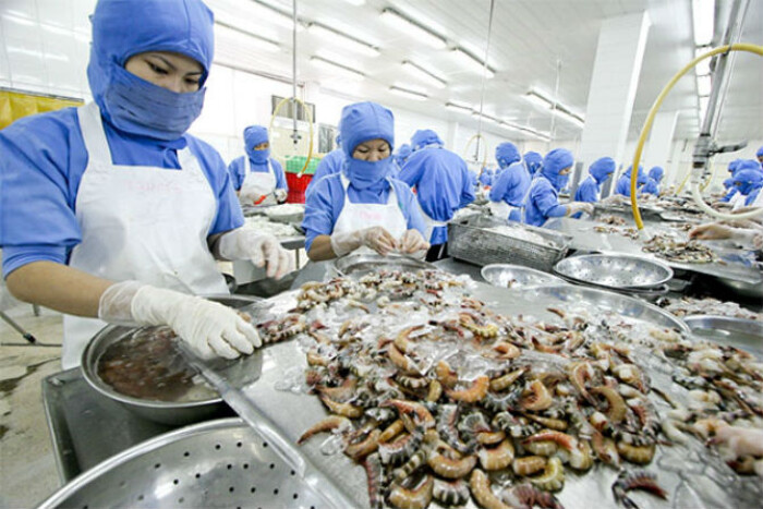 WB khen Việt Nam 'tăng trưởng xuất khẩu xuất sắc'
