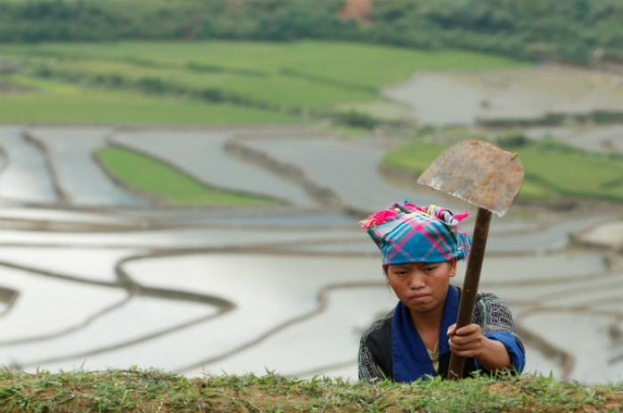 'Tăng trưởng tín dụng nóng là mầm mống khủng hoảng mới tại Việt Nam'