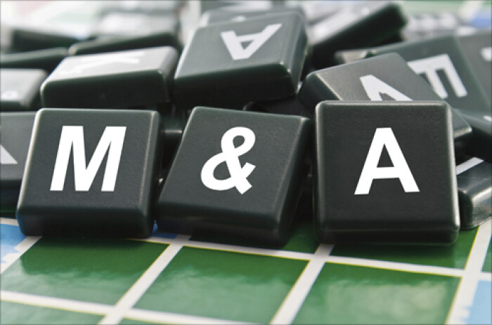 M&A Việt Nam 2015 đạt doanh số khủng 4 tỷ USD