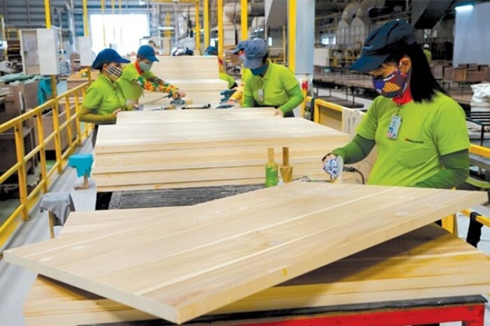 Bình Định đặt mục tiêu xuất khẩu gỗ đạt hơn 1 tỷ USD vào năm 2030