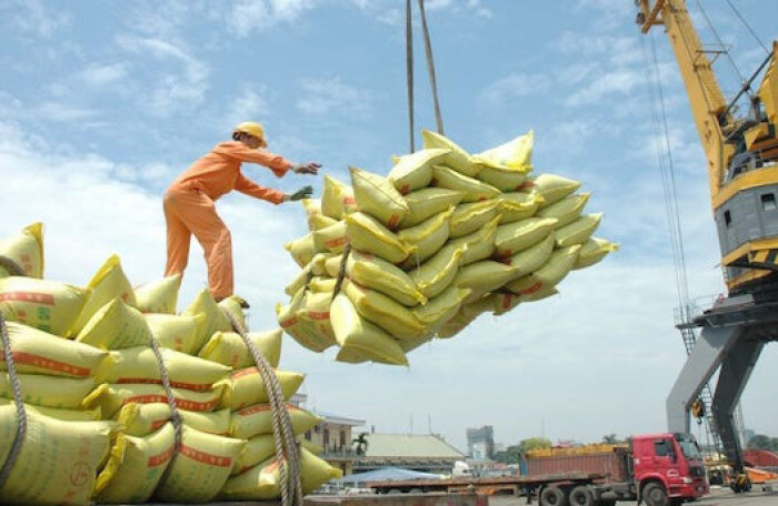 Tổng cục Hải quan bác thông tin 'có can thiệp' vụ mở tờ khai xuất khẩu 400.000 tấn gạo lúc nửa đêm