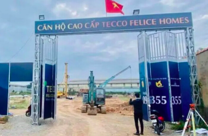 Tự ý đặt tên dự án là 'Căn hộ cao cấp Tecco Felice Homes', An Phú Land bị xử phạt