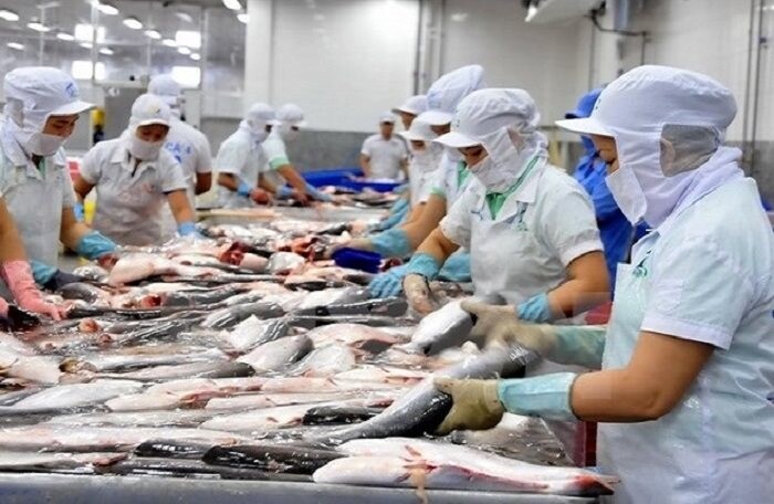 Thứ trưởng Bộ Nông nghiệp: Việt Nam có thể kiện Mỹ vì áp thuế chống bán phá giá cá tra
