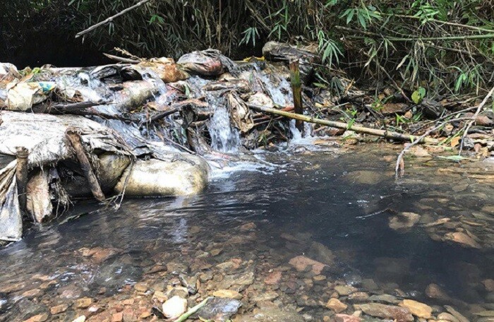 Tạm giữ khẩn cấp 2 đối tượng đổ trộm dầu thải vào nguồn nước sông Đà