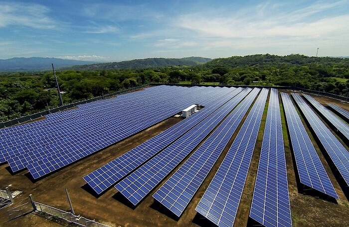 Bình Định xin chuyển gần 29ha rừng để làm nhà máy điện mặt trời Phù Mỹ 3 hơn 2.000 tỷ