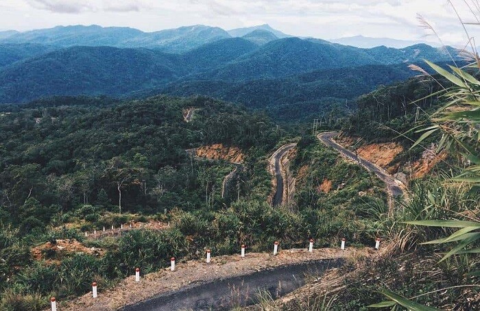 HĐND tỉnh Khánh Hòa được Thủ tướng ủy quyền chuyển mục đích sử dụng rừng dưới 1.000ha