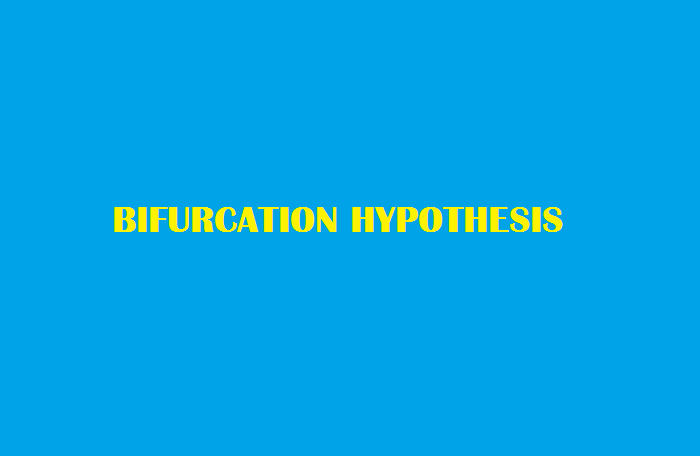 Giả thuyết Bifurcation là gì?