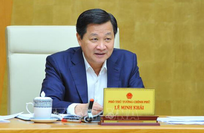 'Trong năm nay phải có phương án xử lý dứt điểm dự án đạm Ninh Bình và DQS'