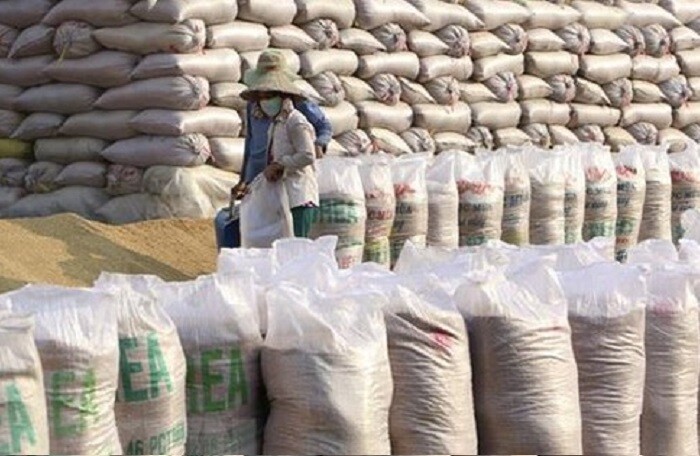 Doanh nghiệp xuất khẩu 220.000 tấn gạo nếp mỗi năm đứng bên bờ vực phá sản