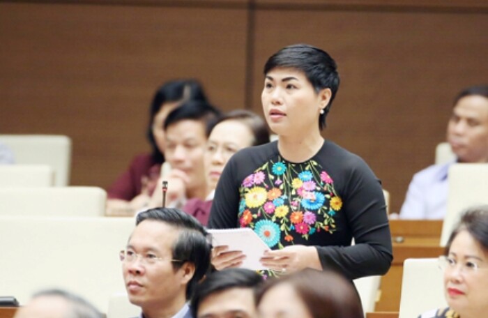 Đường tới Quốc hội: Dấu ấn của Chủ tịch Sonadezi Đỗ Thị Thu Hằng