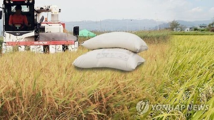 Hàn Quốc viện trợ 50.000 tấn gạo cho các nước nghèo