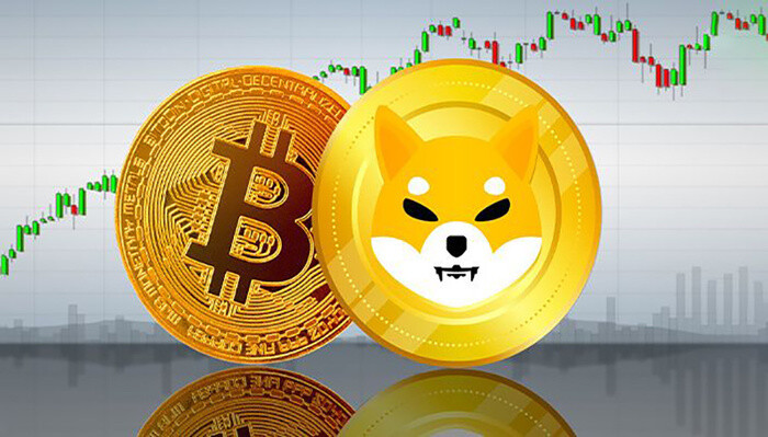 Shiba Inu liên tục lập đỉnh mới, Bitcoin đột ngột giảm về 59.000 USD