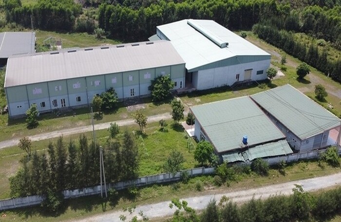 Mitraco bắt tay Vinam tái khởi động nhà máy chế biến thực phẩm tại Hà Tĩnh