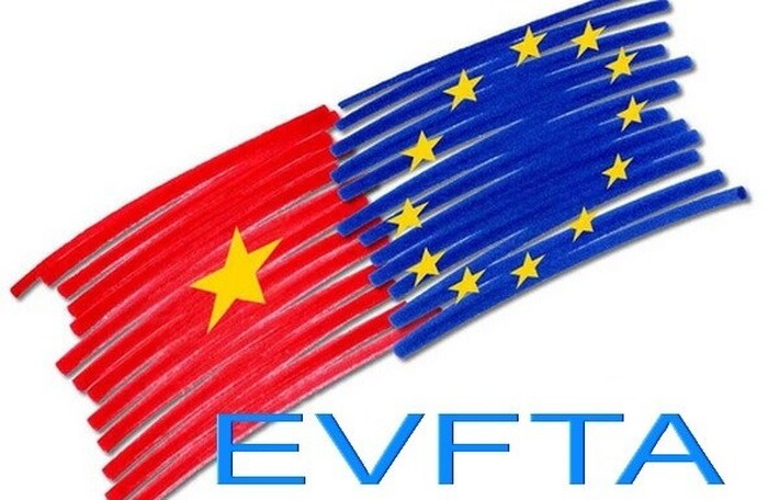 EVFTA sẽ được trình Nghị viện châu Âu phê chuẩn vào đầu năm 2019