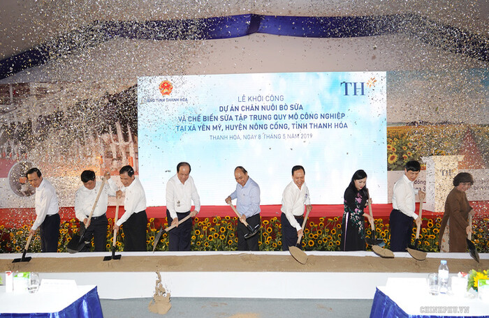 Tập đoàn TH ‘rót’ 3.800 tỷ đồng phát triển dự án 20.000 con bò sữa tại Thanh Hóa
