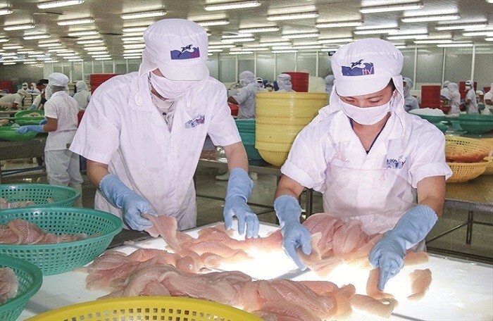 Trước khi bắt tay Thaco, HVG chi hơn 300 tỷ mua lại Thủy sản Hùng Vương – Miền Tây