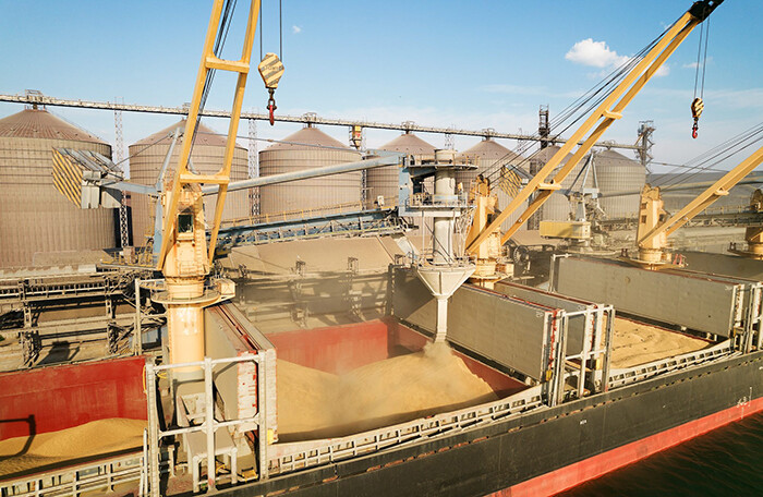 Ukraine cáo buộc Nga 'đánh cắp' hơn 4.000 tấn ngũ cốc xuất khẩu