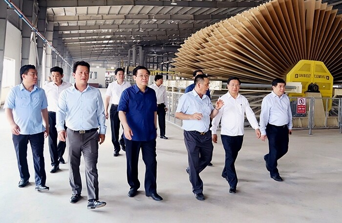 Thanh Thành Đạt khánh thành nhà máy gỗ MDF 1.440 tỷ đồng tại Hà Tĩnh