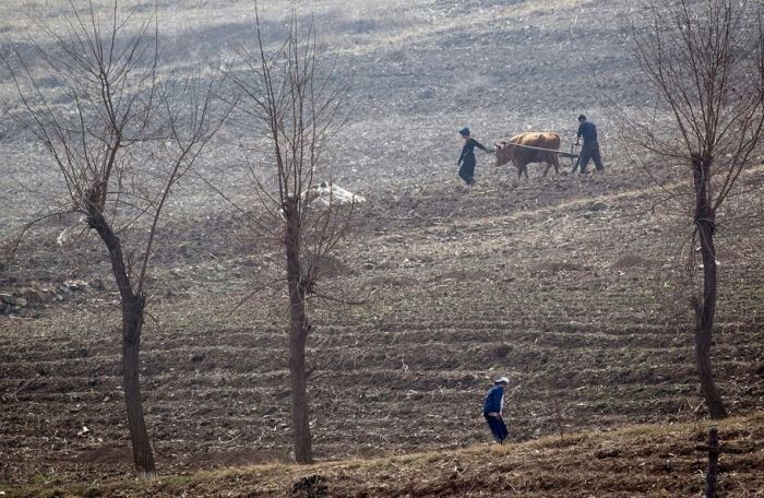 10 triệu người Triều Tiên đối mặt nạn đói giữa lúc căng thẳng hạt nhân chưa hạ nhiệt