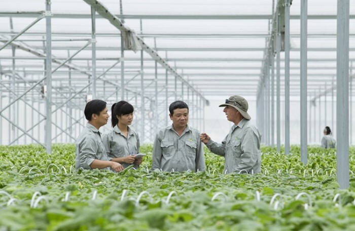Nhiều doanh nghiệp quan tâm gói tín dụng nông nghiệp công nghệ cao