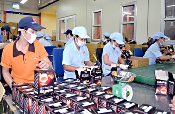 Tổng Công ty Cà phê Việt Nam dự tính IPO vào năm 2018