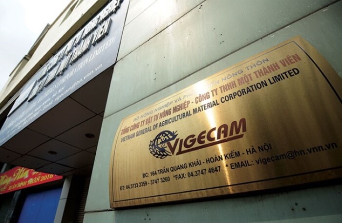 IPO trở lại sau 10 tháng tạm hoãn, Vigecam bớt ‘sốt’