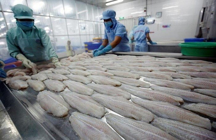 Từ vụ cá tra, cá basa, nhìn lại 3 lần Việt Nam khiếu kiện Hoa Kỳ tại WTO