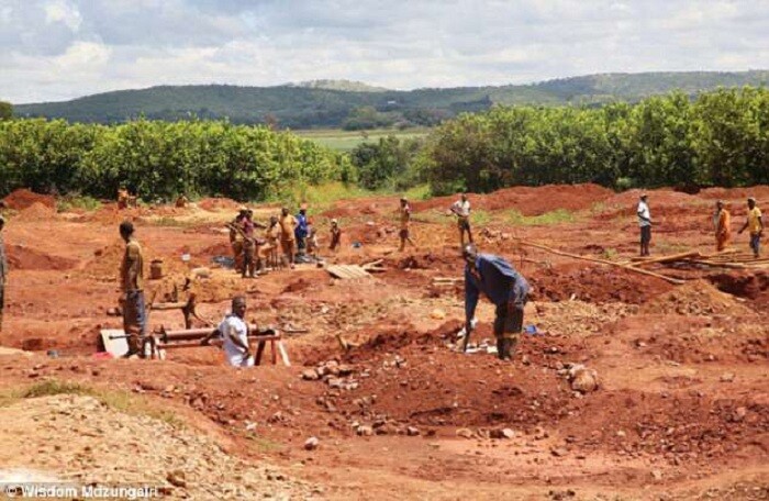 Nông trang của vợ cựu Tổng thống Zimbabwe bị thợ mỏ ‘xới tung’ để tìm vàng