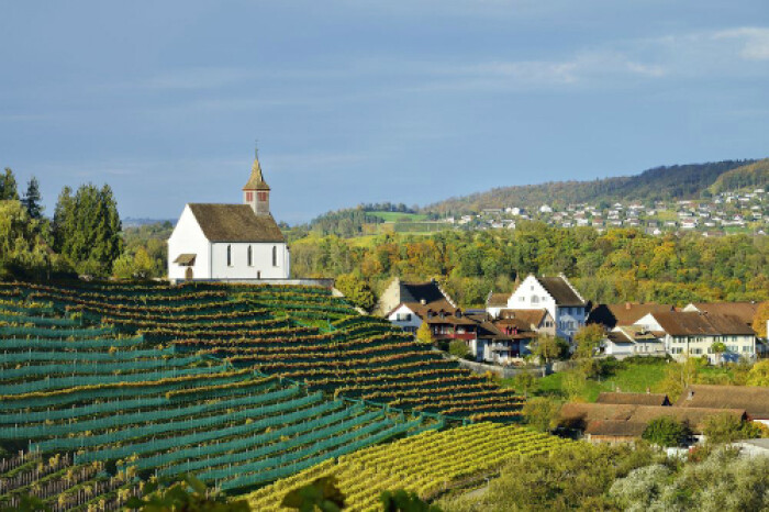 Dân làng Thụy Sỹ được chia gần 2.600 USD mỗi tháng