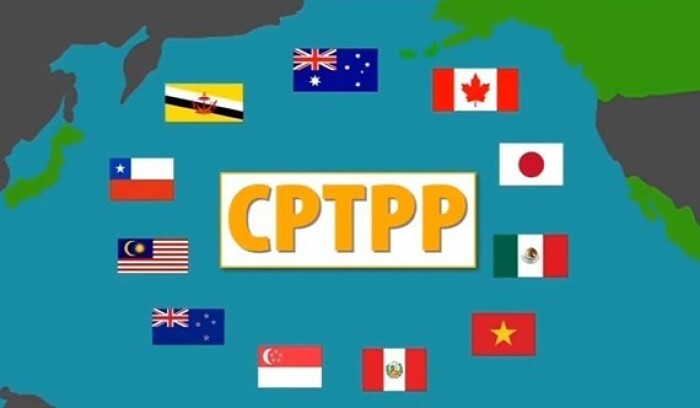 Gia nhập CPTPP: Ngân hàng Việt có nguy cơ thua ngay trên 'sân nhà'