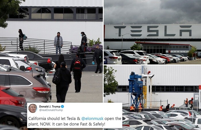 Tổng thống Trump ủng hộ Tesla mở cửa nhà máy bất chấp lệnh phong tỏa